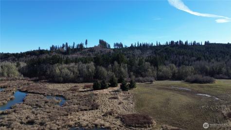 0 Lincoln Creek Road Rochester WA 98579