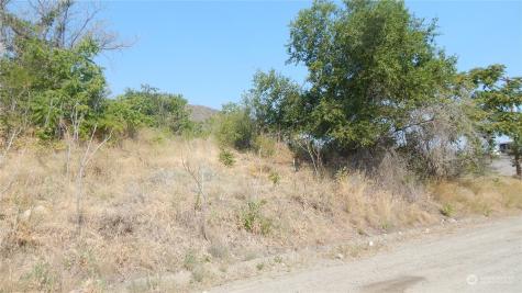 0 21st Avenue Oroville WA 98844