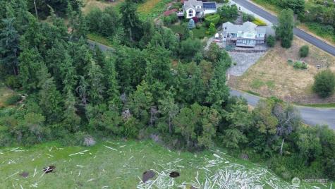 0 Wagner Road Camano Island WA 98282