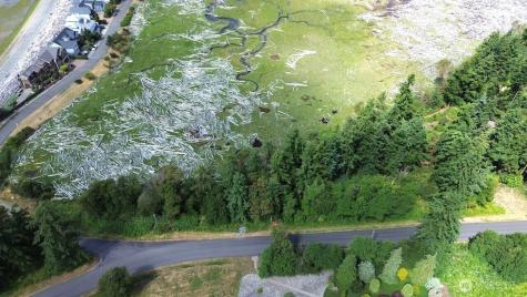 0 Wagner Road Camano Island WA 98282