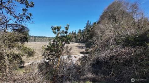 0 Wagner Road Camano Island WA 98282