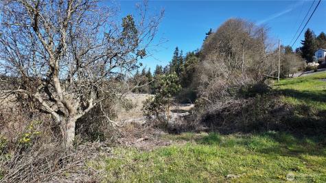 0 Wagner Road Camano Island WA 98282