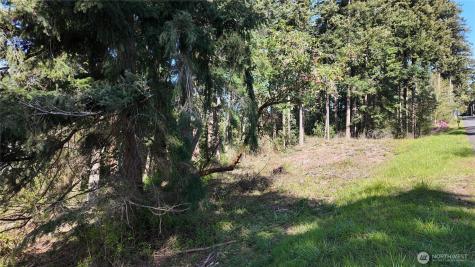 0 Wagner Road Camano Island WA 98282