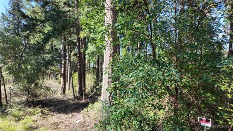 0 Wagner Road Camano Island WA 98282