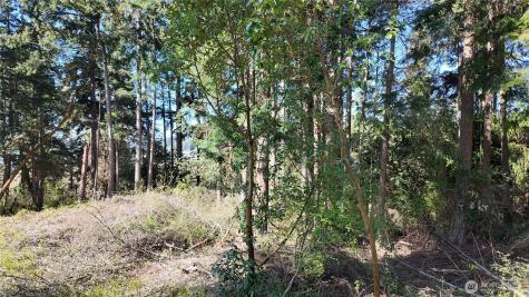 0 Wagner Road Camano Island WA 98282