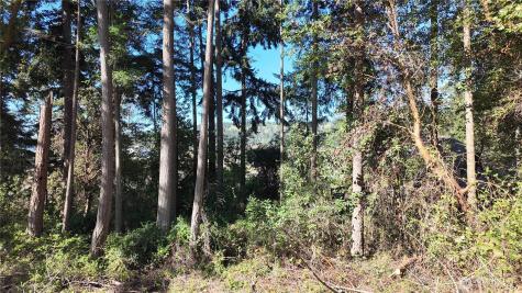 0 Wagner Road Camano Island WA 98282