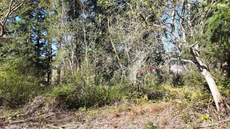 0 Wagner Road Camano Island WA 98282