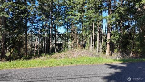 0 Wagner Road Camano Island WA 98282