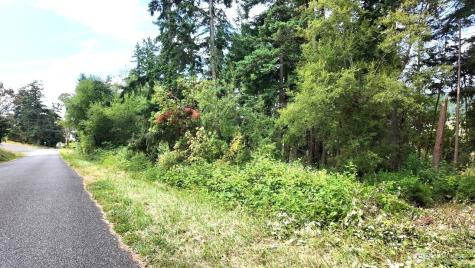 0 Wagner Road Camano Island WA 98282