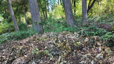 0 Wagner Road Camano Island WA 98282