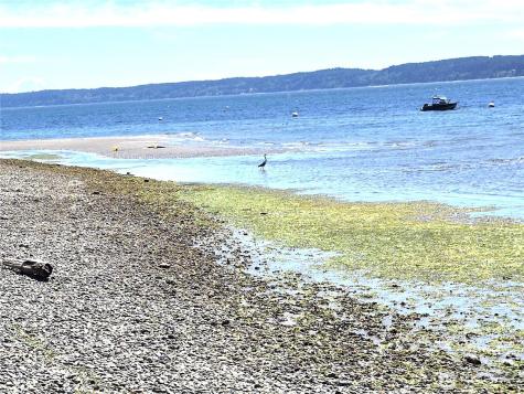 0 Wagner Road Camano Island WA 98282