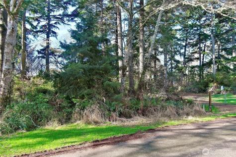 721 Chenois Avenue NE Ocean Shores WA 98569
