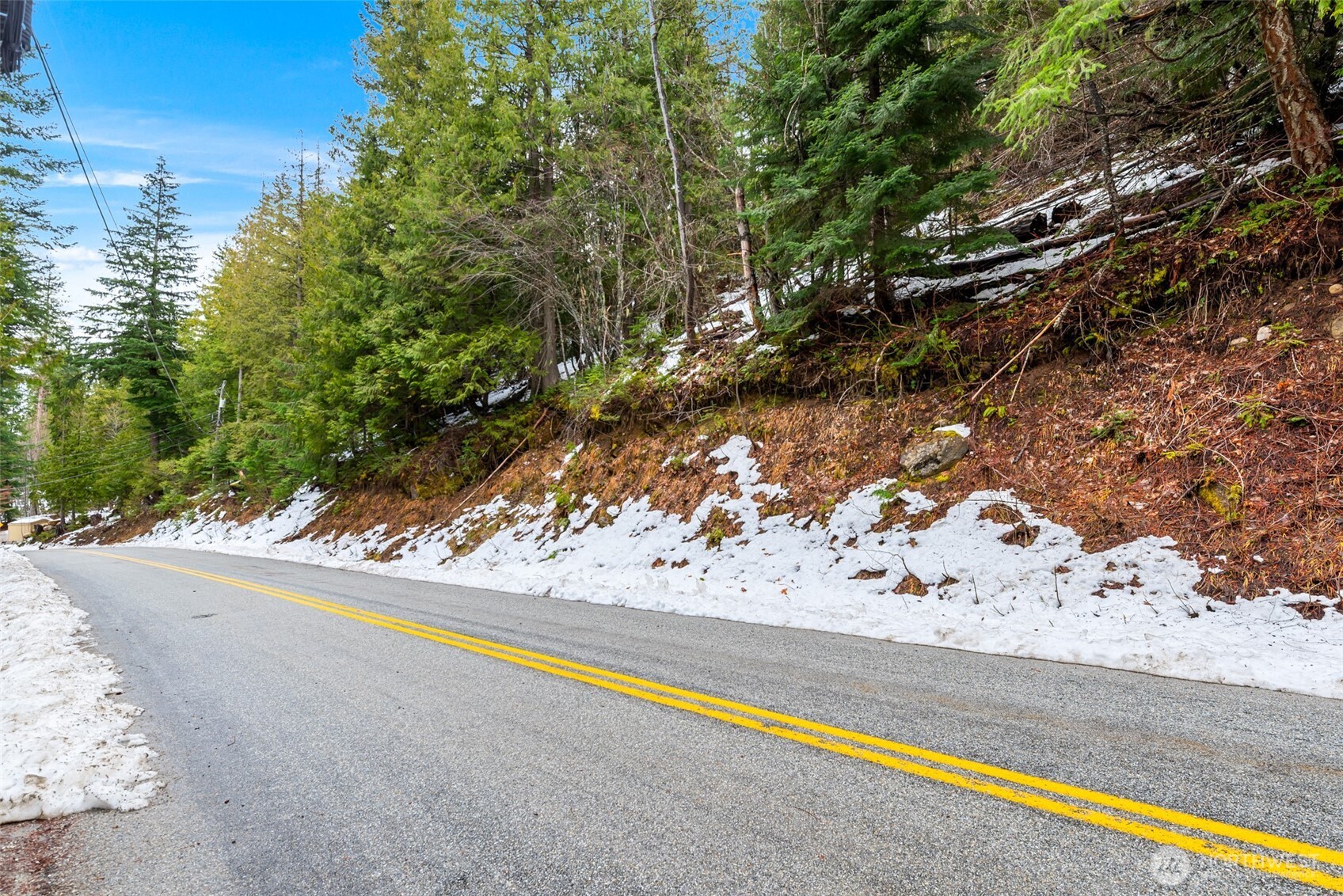 0 Cedar Brae Lot 87 Lake Wenatchee WA 98826