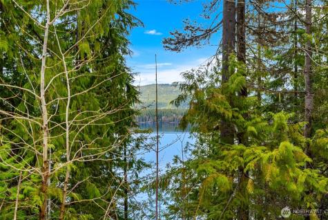 0 Cedar Brae Lot 87 Lake Wenatchee WA 98826