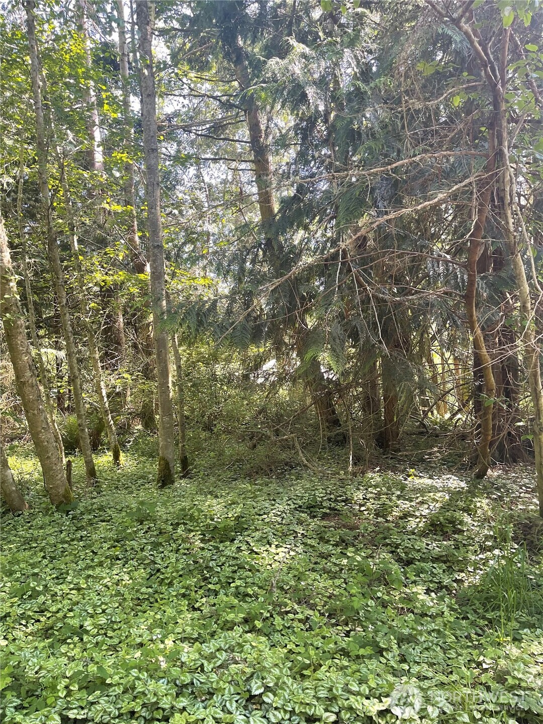 1321 54th Street Port Townsend WA 98368