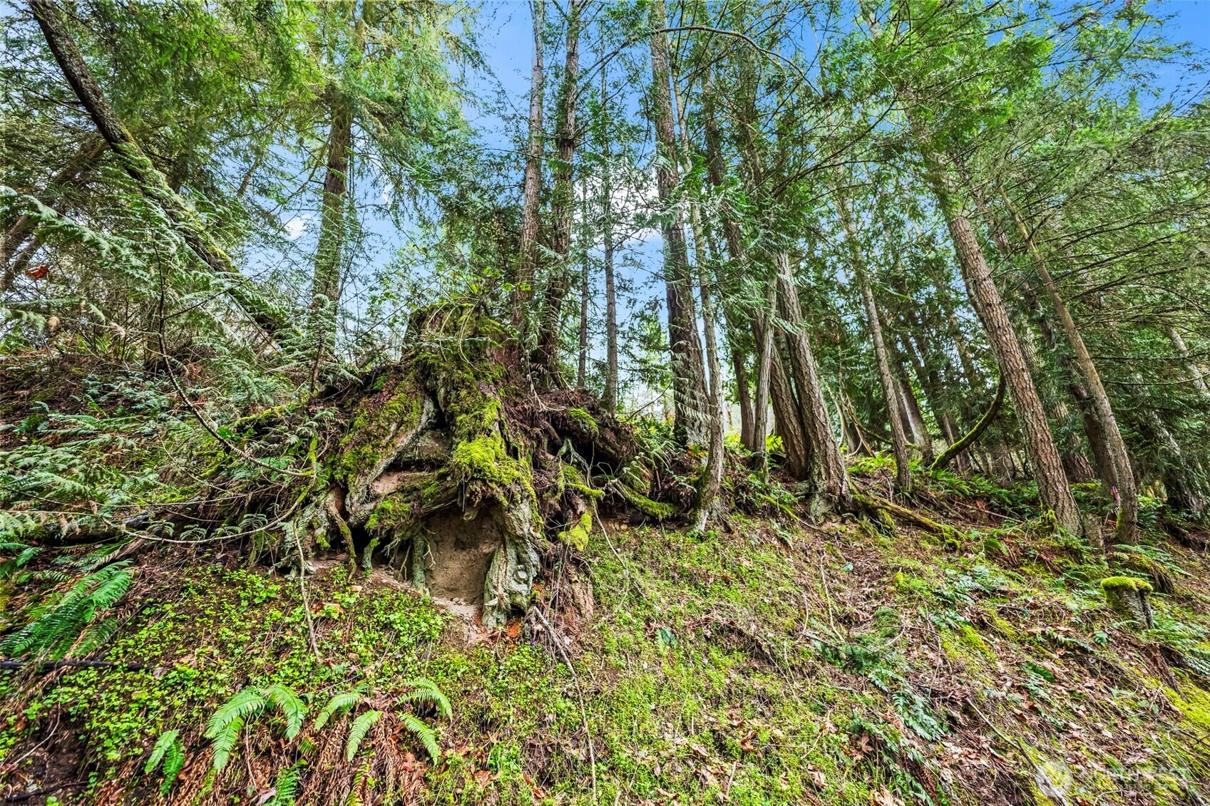 123 Highland Drive E Roy WA 98580