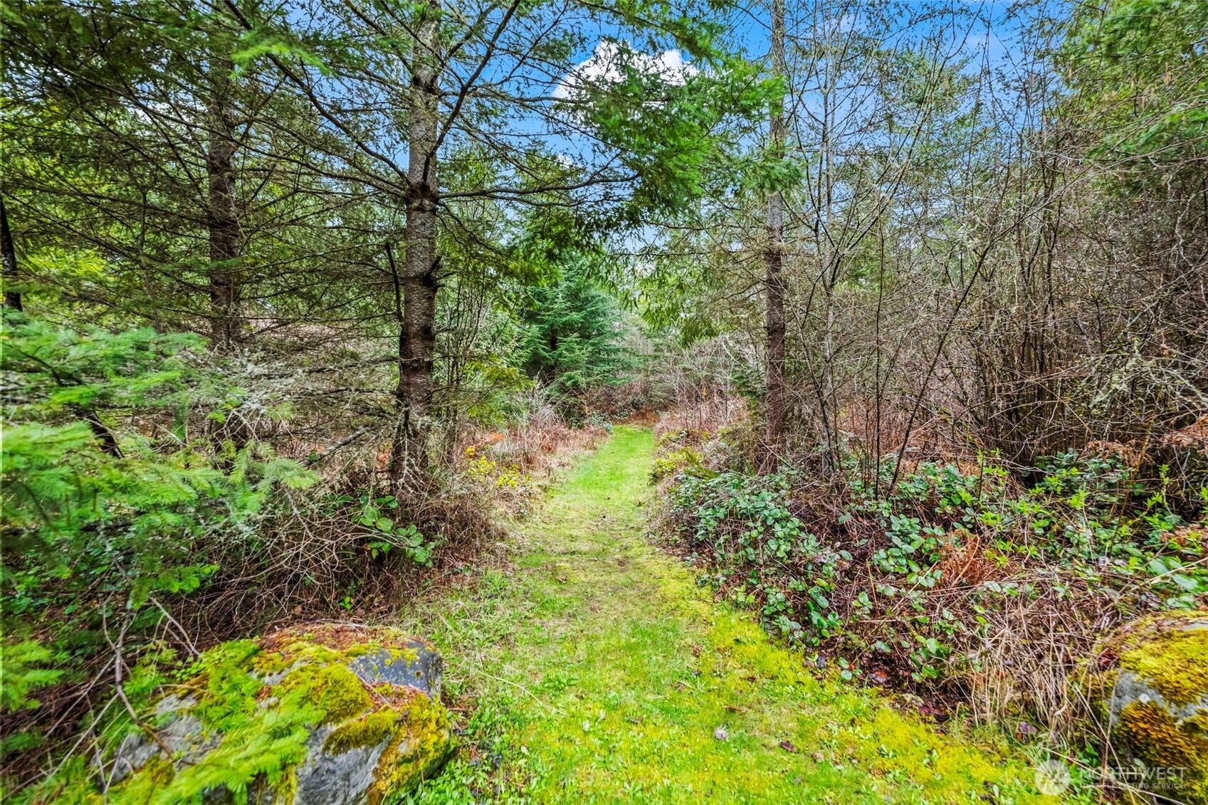 123 Highland Drive E Roy WA 98580