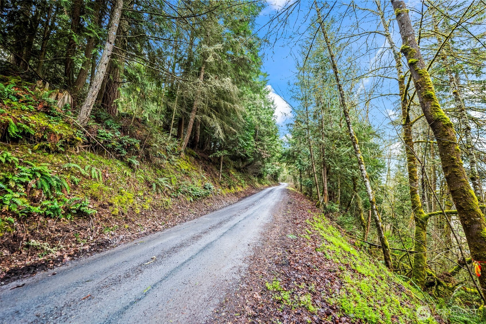 123 Highland Drive E Roy WA 98580