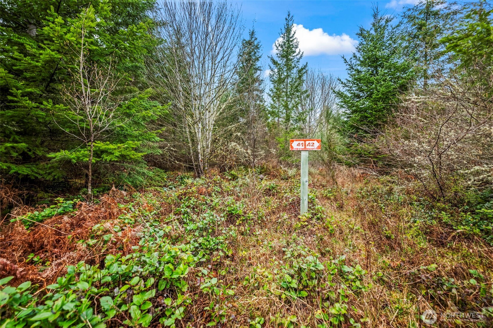 123 Highland Drive E Roy WA 98580