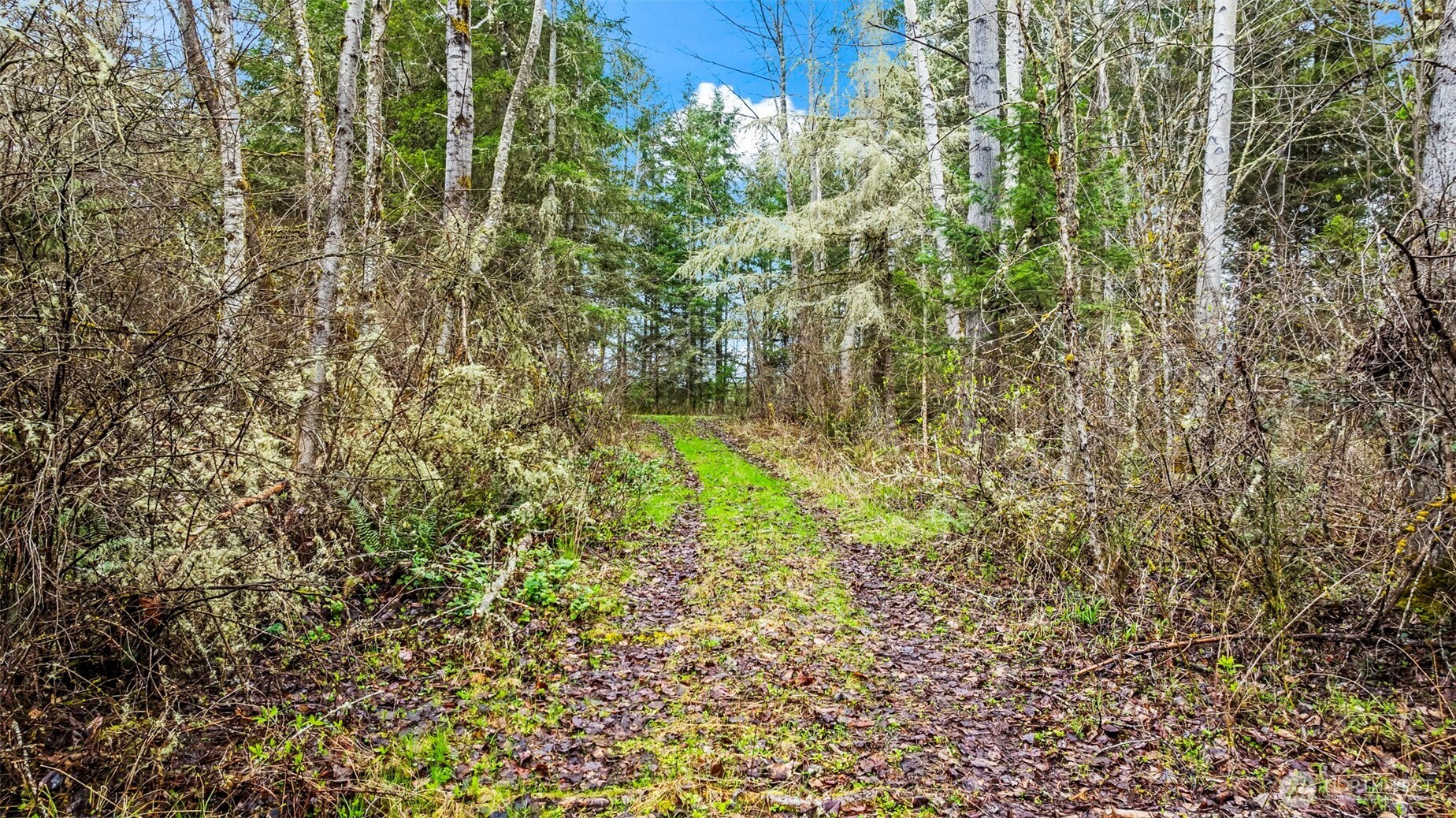 123 Highland Drive E Roy WA 98580