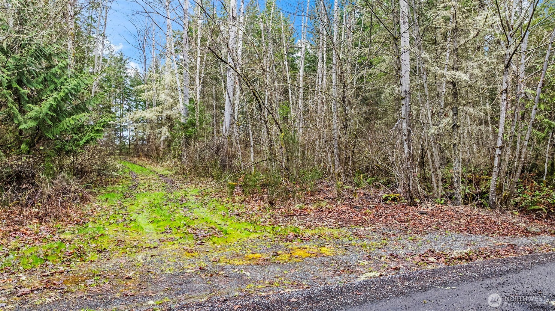 123 Highland Drive E Roy WA 98580