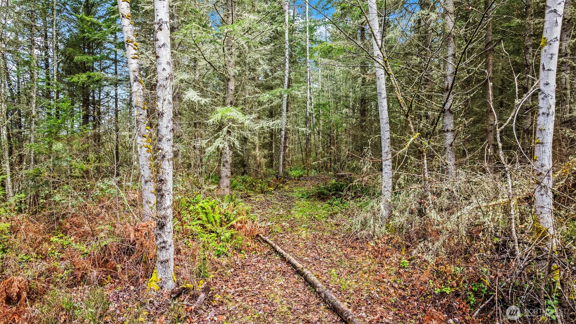 123 Highland Drive E Roy WA 98580