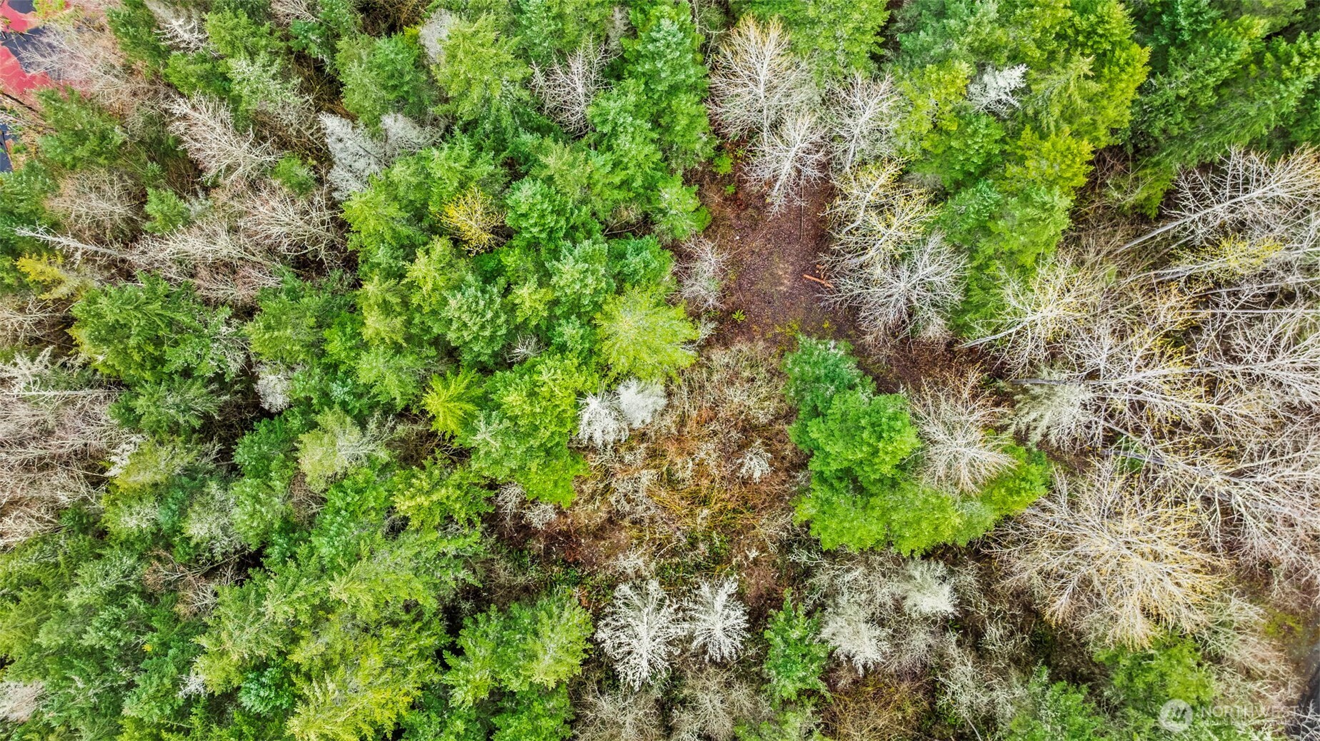 123 Highland Drive E Roy WA 98580
