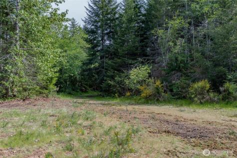 0 N Us Highway 101 Lilliwaup WA 98555