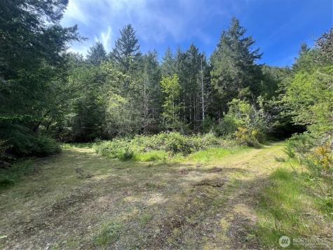 0 N Us Highway 101 Lilliwaup WA 98555