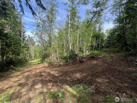 0 N Us Highway 101 Lilliwaup WA 98555
