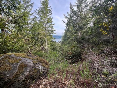 0 N Us Highway 101 Lilliwaup WA 98555