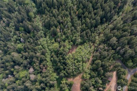 0 N Us Highway 101 Lilliwaup WA 98555