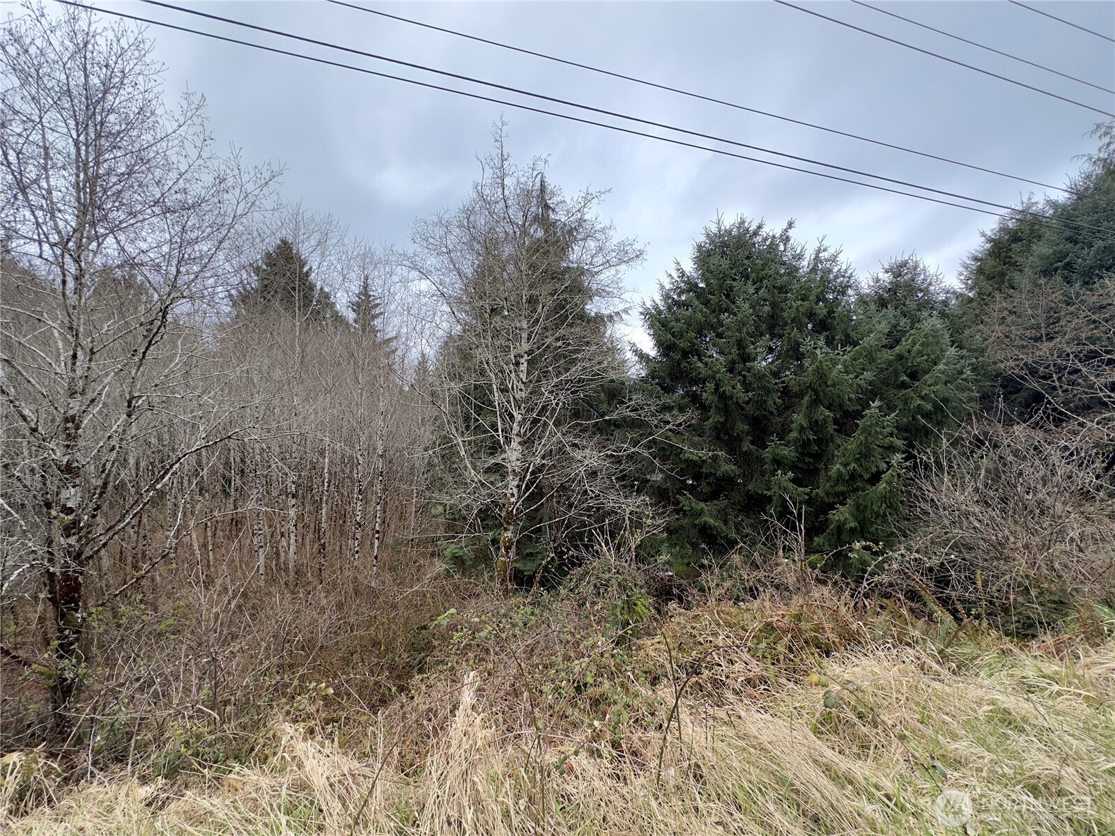 31 Ocean Beach Road Pacific Beach WA 98571