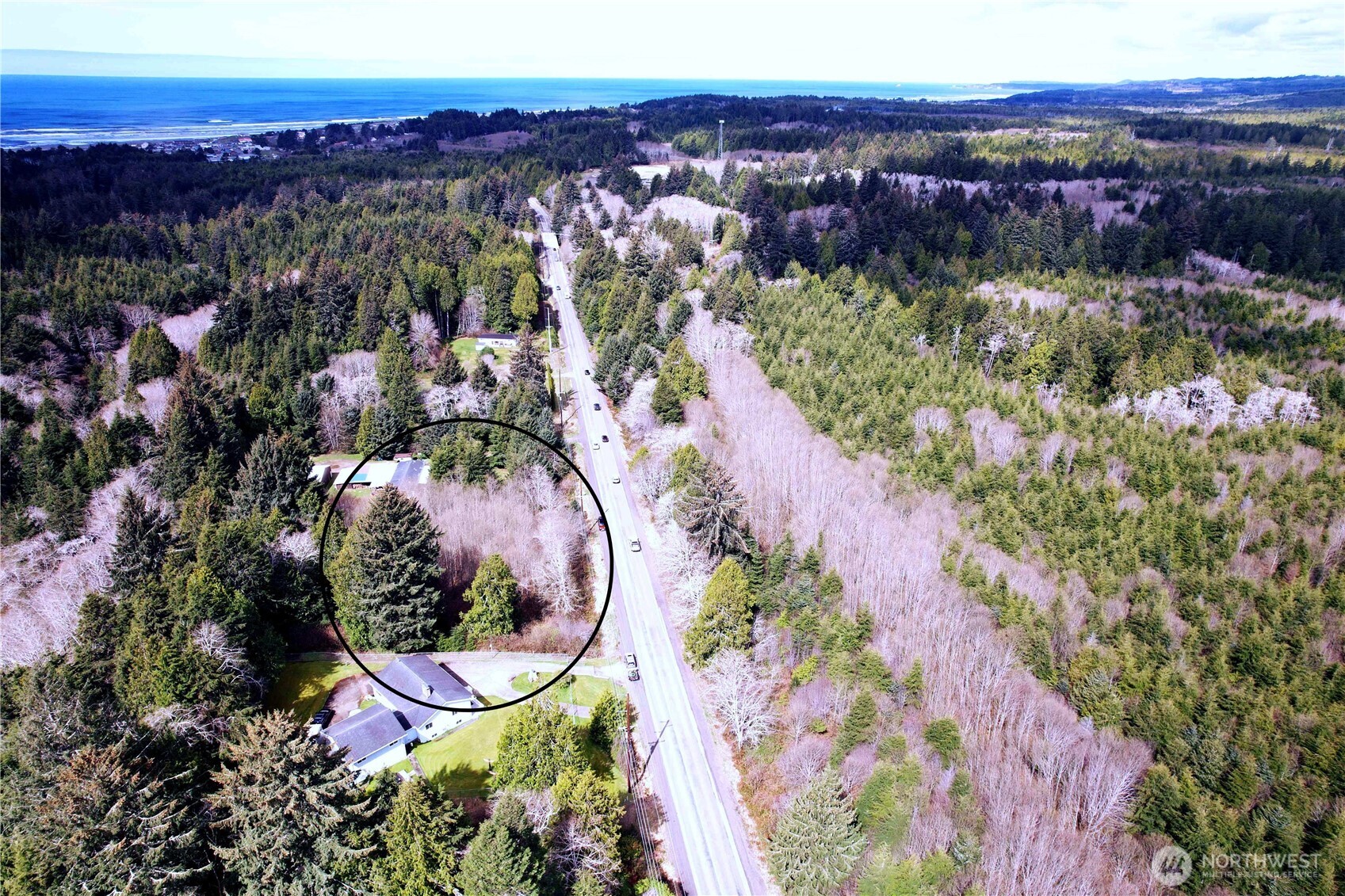 31 Ocean Beach Road Pacific Beach WA 98571