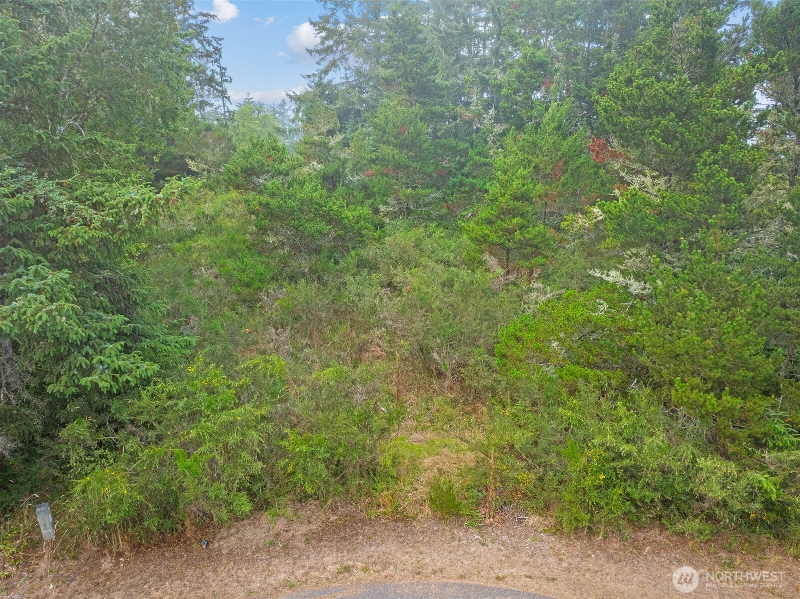 1016 Lola Court Ocean Shores WA 98569