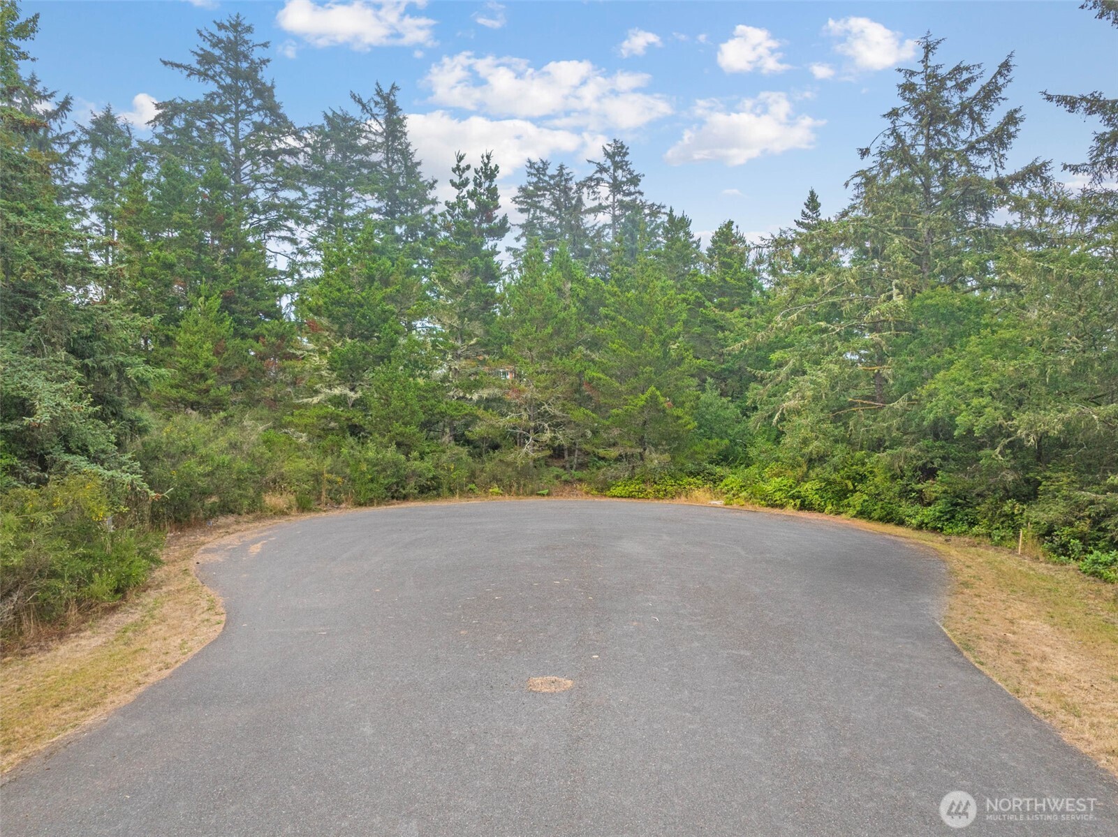 1016 Lola Court Ocean Shores WA 98569