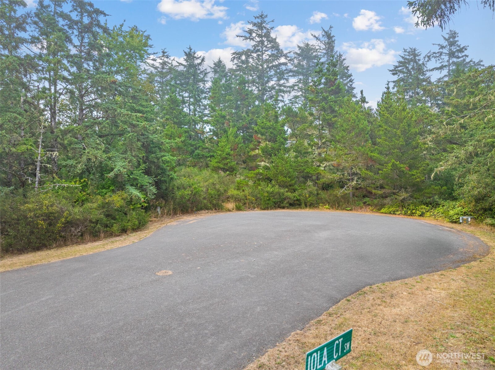 1016 Lola Court Ocean Shores WA 98569