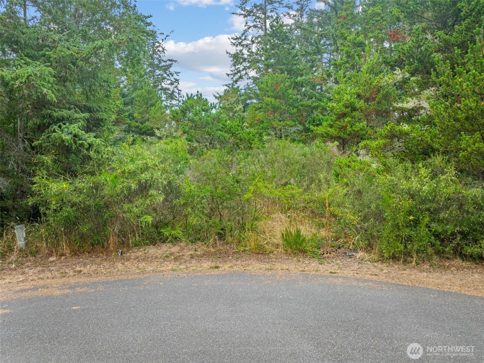 1016 Lola Court Ocean Shores WA 98569