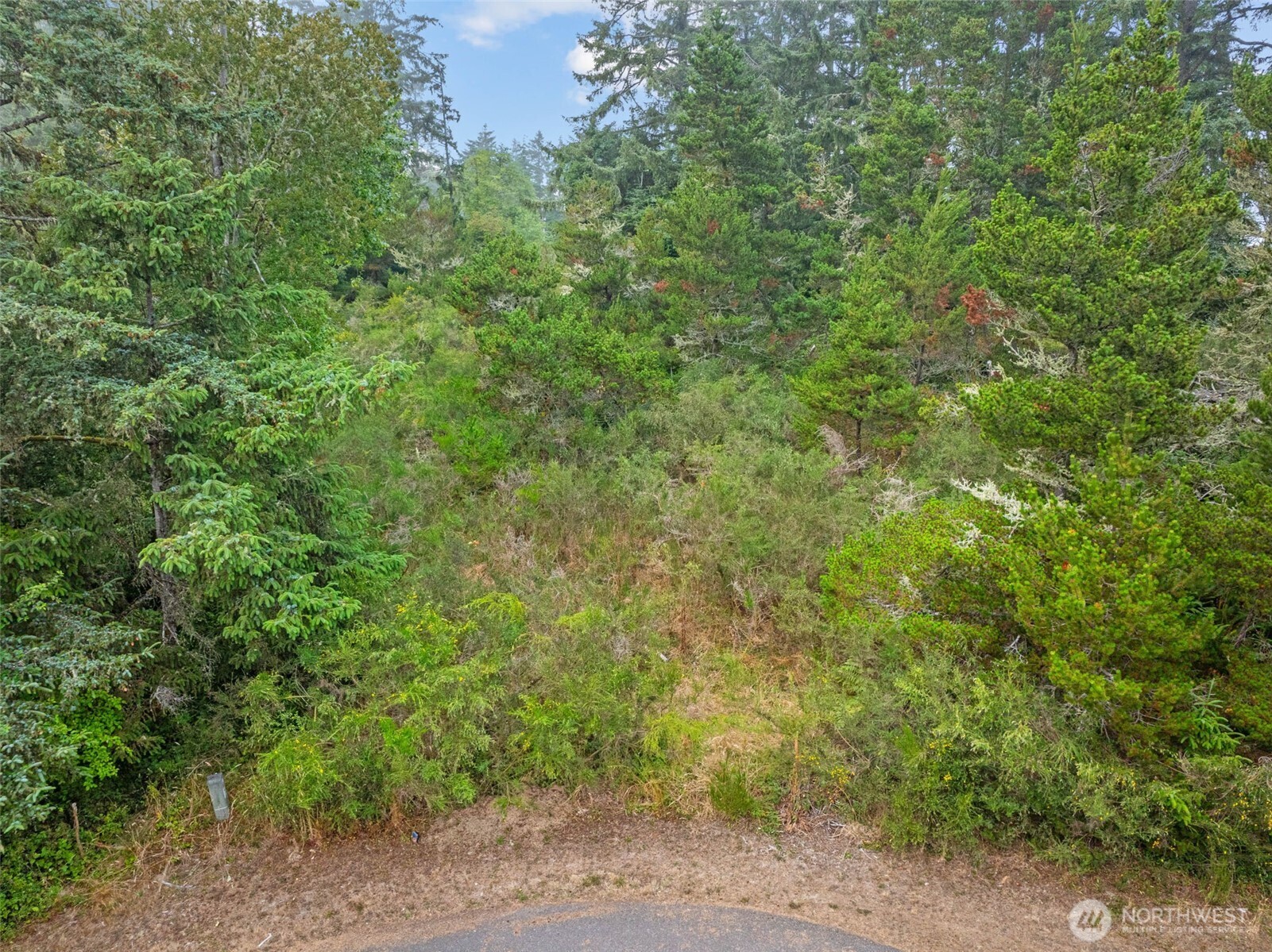 1016 Lola Court Ocean Shores WA 98569