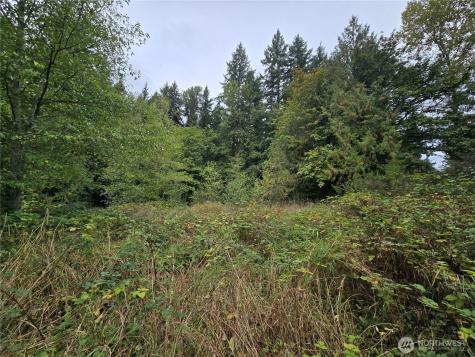 12628 208th Place NE Woodinville WA 98077