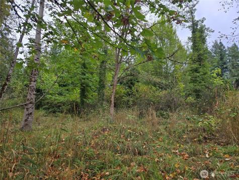 12628 208th Place NE Woodinville WA 98077