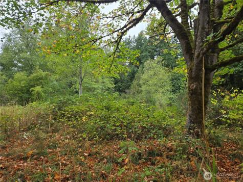 12628 208th Place NE Woodinville WA 98077