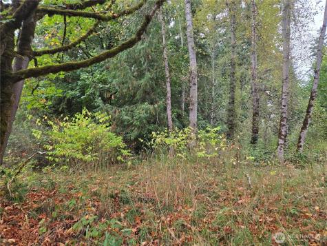 12628 208th Place NE Woodinville WA 98077