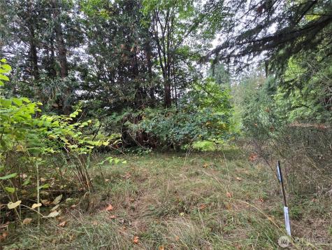 12628 208th Place NE Woodinville WA 98077