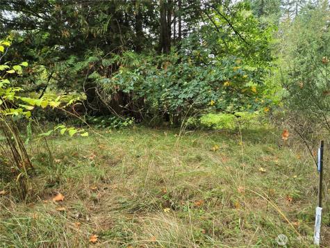 12628 208th Place NE Woodinville WA 98077