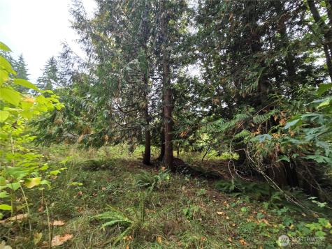 12628 208th Place NE Woodinville WA 98077