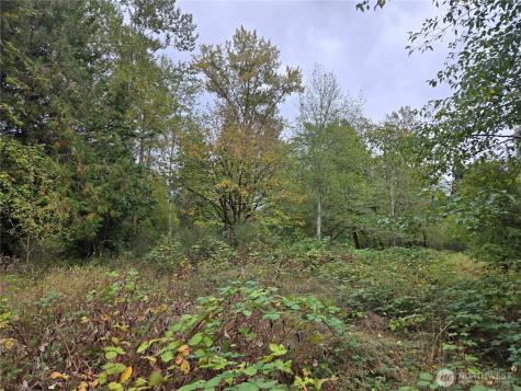 12628 208th Place NE Woodinville WA 98077