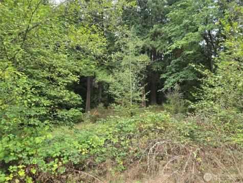 12628 208th Place NE Woodinville WA 98077