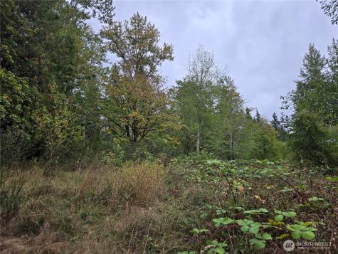 12628 208th Place NE Woodinville WA 98077