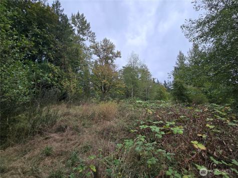 12628 208th Place NE Woodinville WA 98077